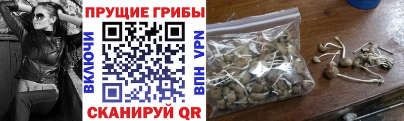 Галлюциногенные грибы прущие грибы  Кемерово 